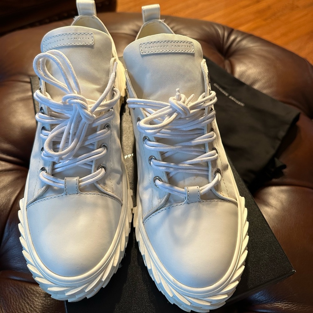 Giuseppe Zanotti shoes- worn twice. Comes with original box and dust bag.